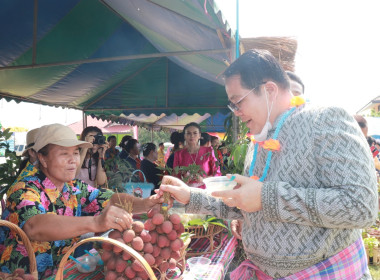 งานวันลิ้นจี่ ของดีตำบลขามเฒ่า พารามิเตอร์รูปภาพ 6